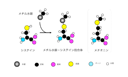 qa1-4