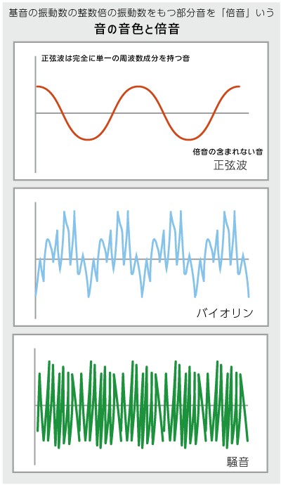 横側頭回hp16