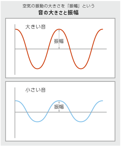 横側頭回hp14